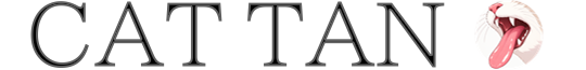 Custom Logo